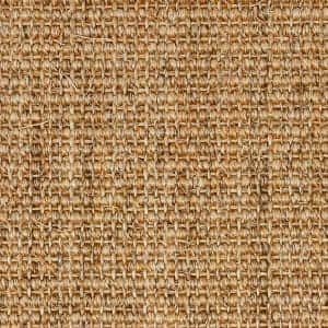 Sahara
