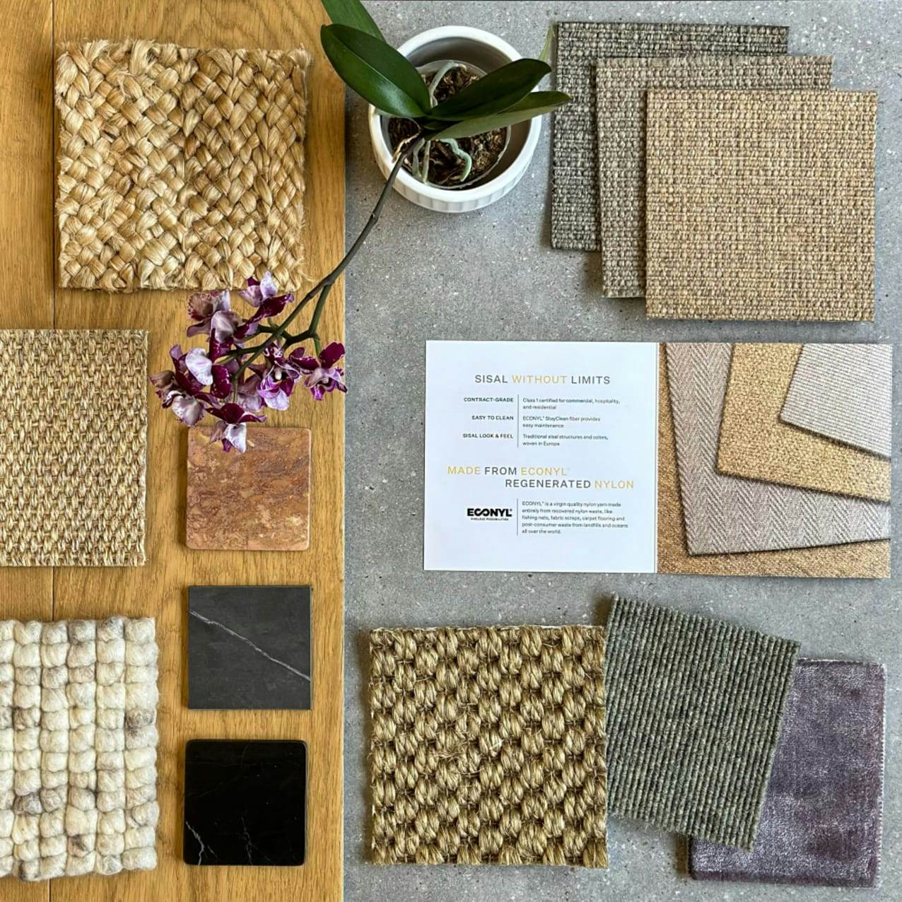 Mood board of a collection of carpet weaves.
